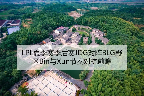 LPL夏季赛季后赛JDG对阵BLG野区Bin与Xun节奏对抗前瞻